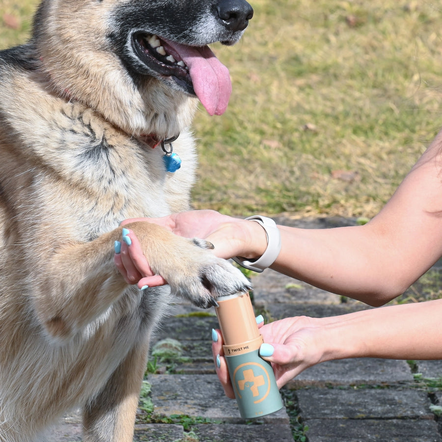 Rhino Wax Dog Paw Protection - Trail Wax
