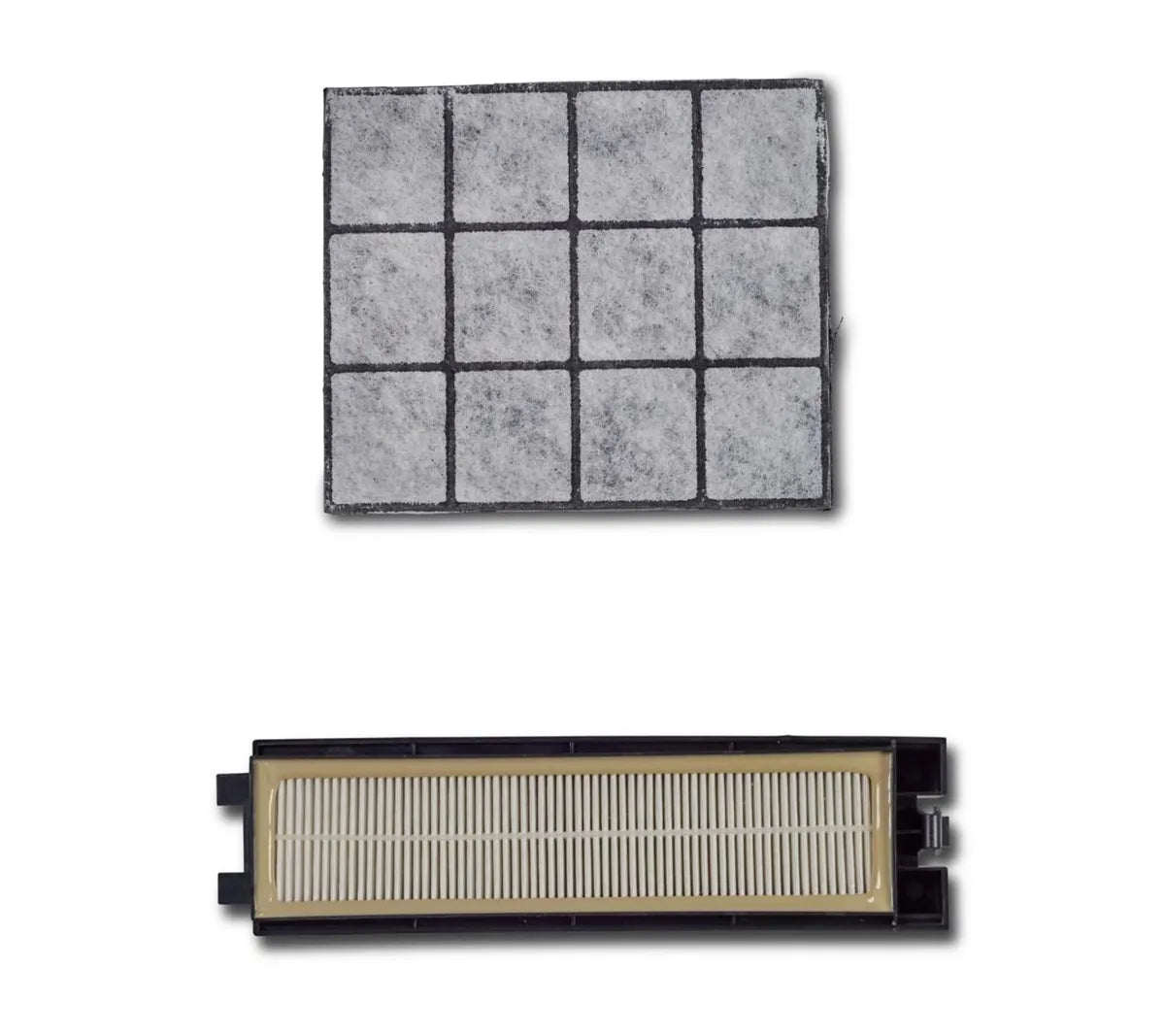 Riccar R25 & R27 HEPA and Charcoal Filter Set