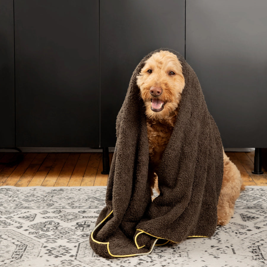 E-Cloth Large Pet Drying Towel – Extra-Absorbent